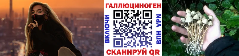 Купить где  Приволжск  Галлюциногенные грибы мицелий 